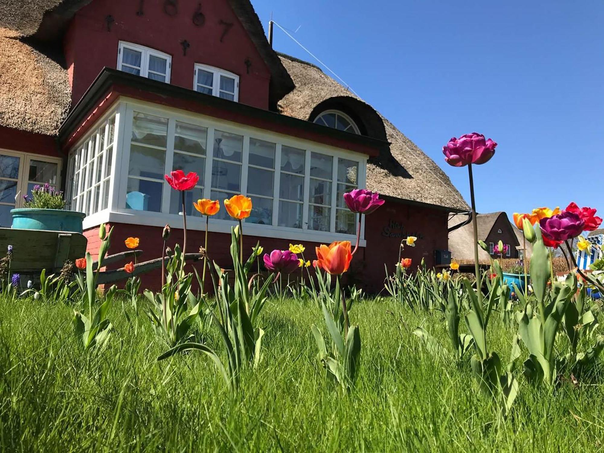 Hues Sanskiin Ferienwohnung *Hopelfask* Suddorf Bagian luar foto