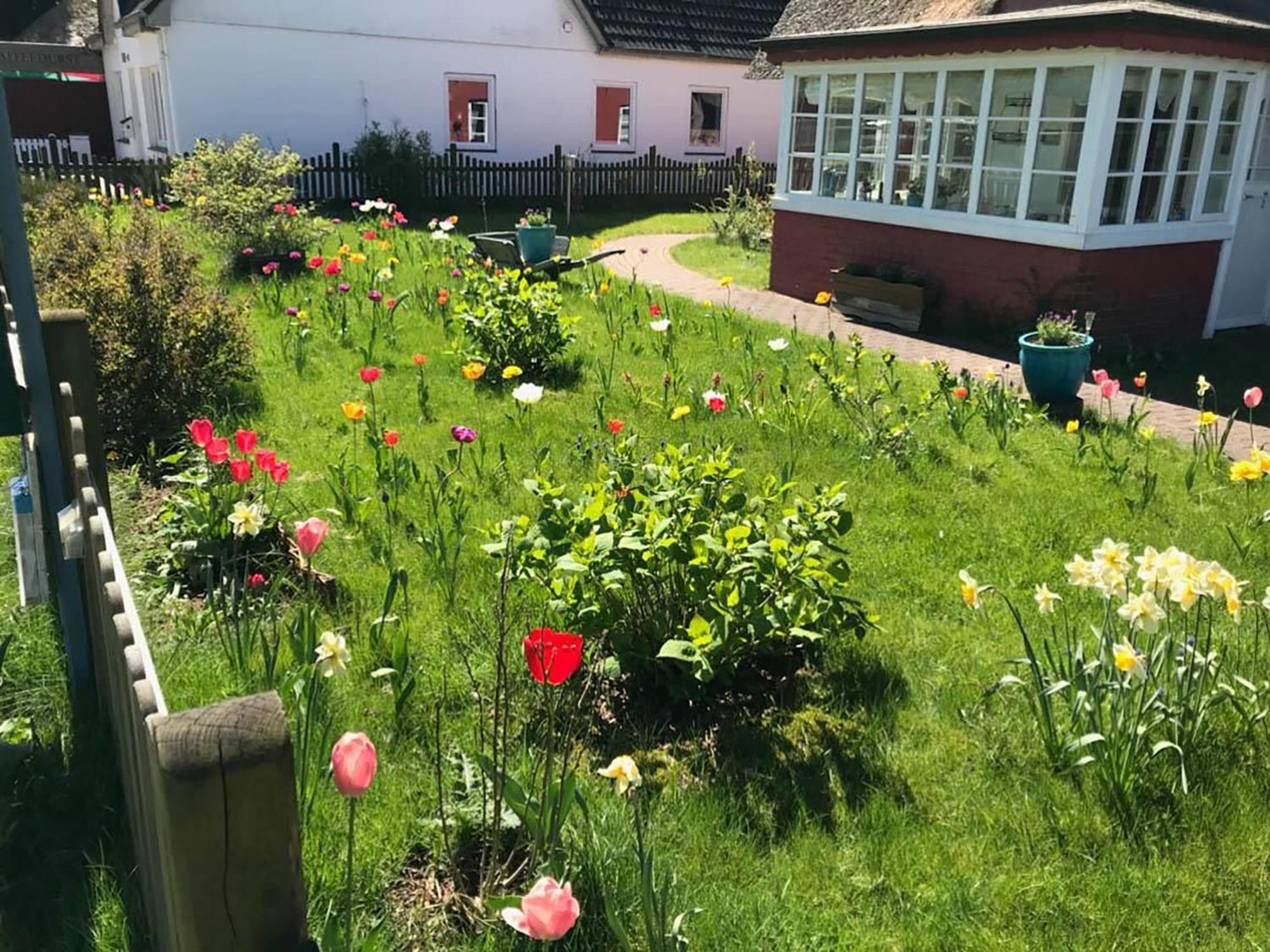 Hues Sanskiin Ferienwohnung *Hopelfask* Suddorf Bagian luar foto